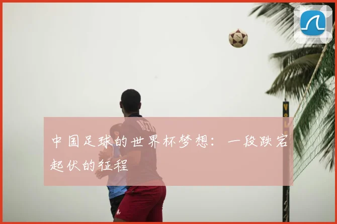 中国足球的世界杯梦想：一段跌宕起伏的征程