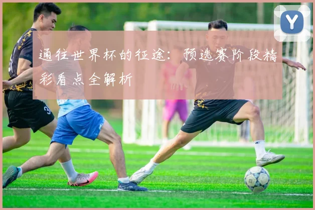 通往世界杯的征途：预选赛阶段精彩看点全解析