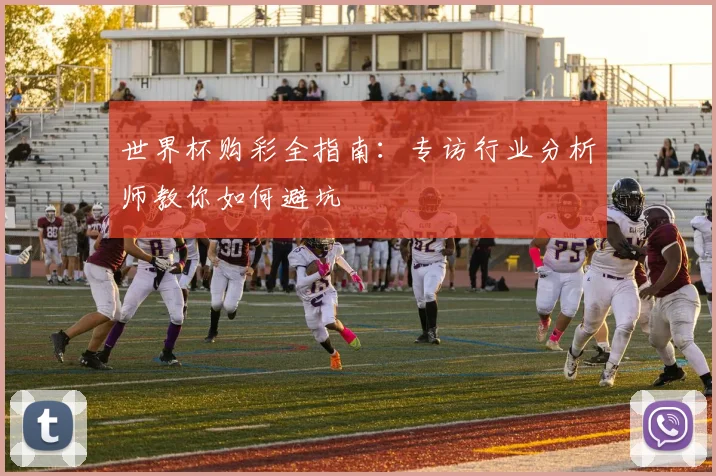 世界杯购彩全指南：专访行业分析师教你如何避坑