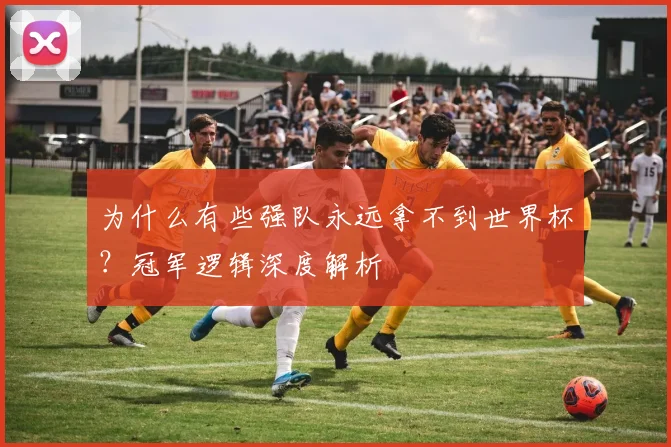 为什么有些强队永远拿不到世界杯？冠军逻辑深度解析