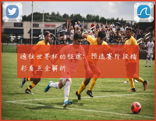 通往世界杯的征途：预选赛阶段精彩看点全解析