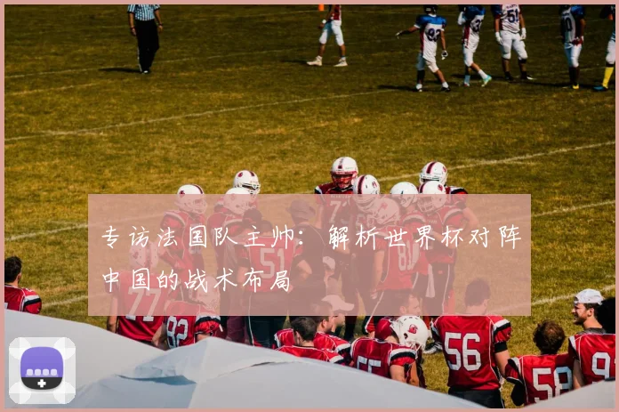 专访法国队主帅:解析世界杯对阵中国的战术布局