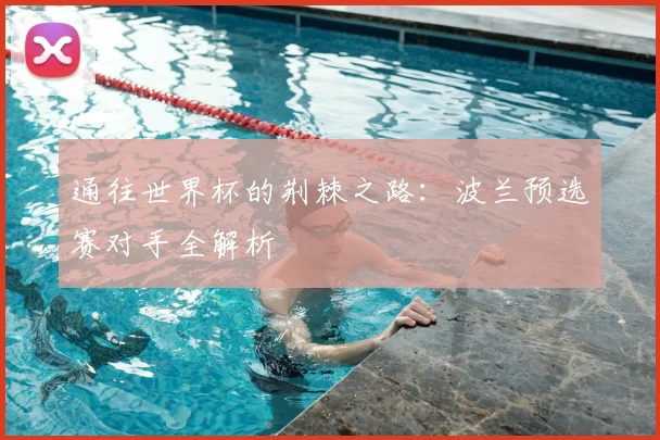 通往世界杯的荆棘之路：波兰预选赛对手全解析