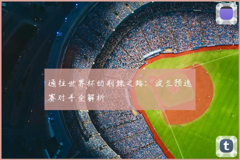 通往世界杯的荆棘之路：波兰预选赛对手全解析