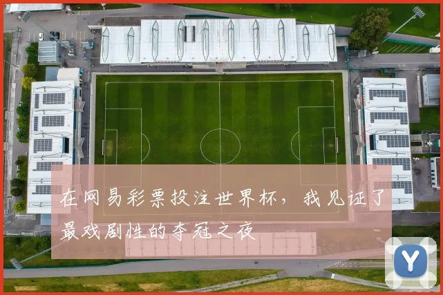 在网易彩票投注世界杯，我见证了最戏剧性的夺冠之夜
