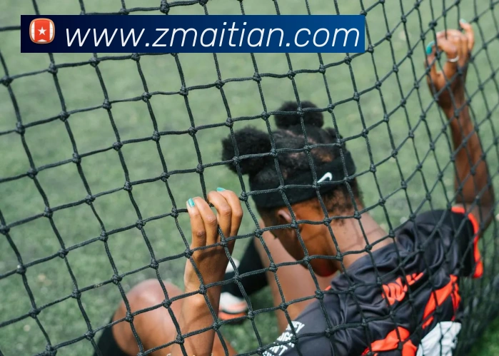 巅峰国际app官网下载品牌故事